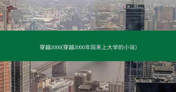 穿越2000(穿越2000年回来上大学的小说)