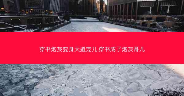 穿书炮灰变身天道宠儿,穿书成了炮灰哥儿