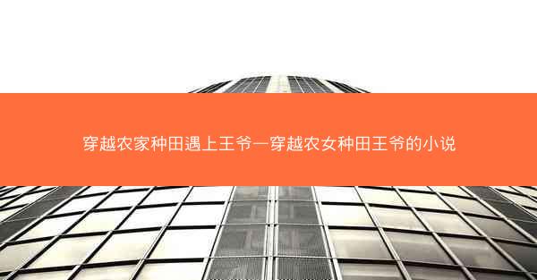 穿越农家种田遇上王爷—穿越农女种田王爷的小说