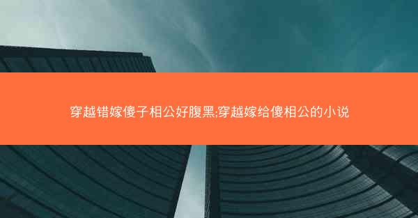 穿越错嫁傻子相公好腹黑;穿越嫁给傻相公的小说