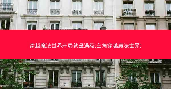 穿越魔法世界开局就是满级(主角穿越魔法世界)