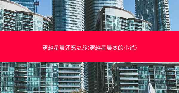 穿越星晨还愿之旅(穿越星晨变的小说)