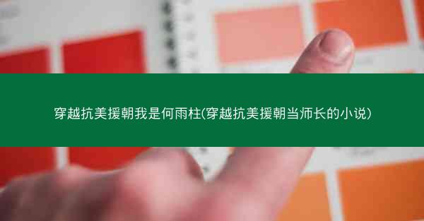 穿越抗美援朝我是何雨柱(穿越抗美援朝当师长的小说)