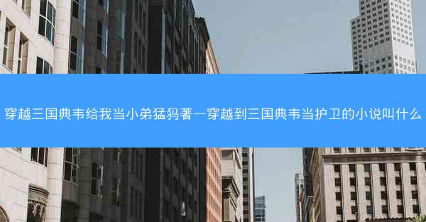 穿越三国典韦给我当小弟猛犸著—穿越到三国典韦当护卫的小说叫什么