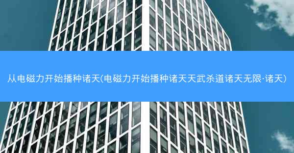 从电磁力开始播种诸天(电磁力开始播种诸天天武杀道诸天无限·诸天)
