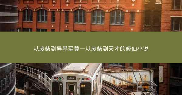 从废柴到异界至尊—从废柴到天才的修仙小说