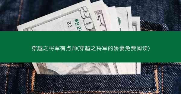 穿越之将军有点帅(穿越之将军的娇妻免费阅读)