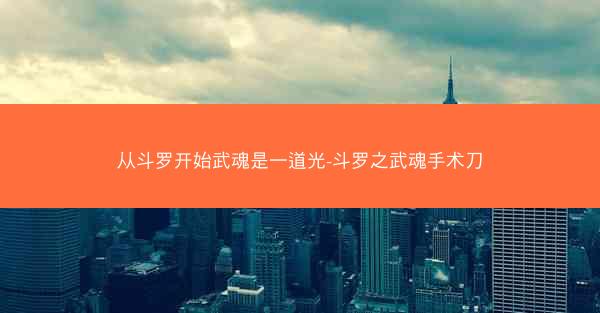 从斗罗开始武魂是一道光-斗罗之武魂手术刀