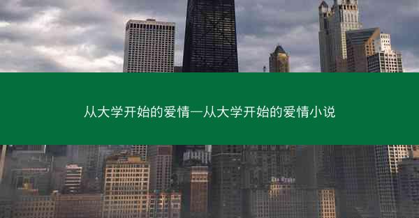 从大学开始的爱情—从大学开始的爱情小说
