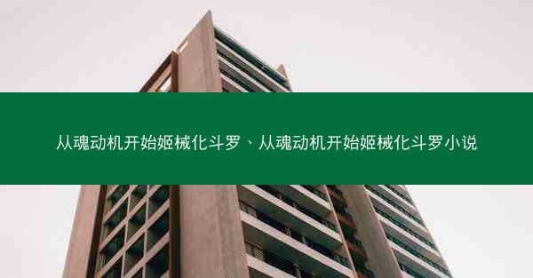 从魂动机开始姬械化斗罗、从魂动机开始姬械化斗罗小说