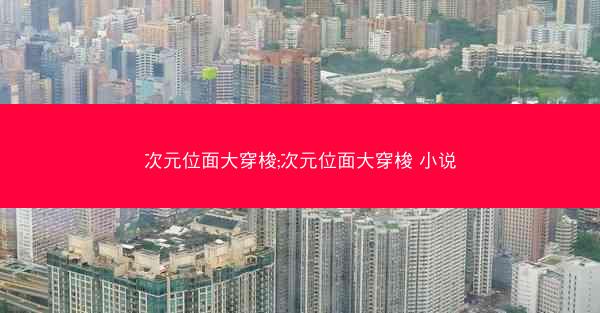 次元位面大穿梭;次元位面大穿梭 小说