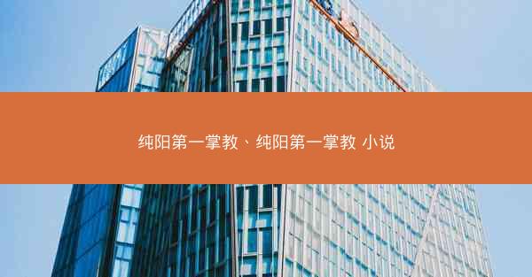 纯阳第一掌教、纯阳第一掌教 小说