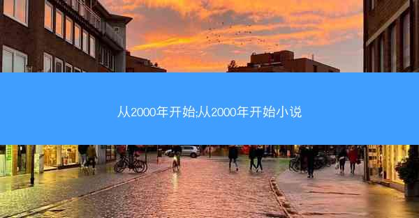 从2000年开始;从2000年开始小说