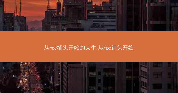 从npc捕头开始的人生-从npc铺头开始