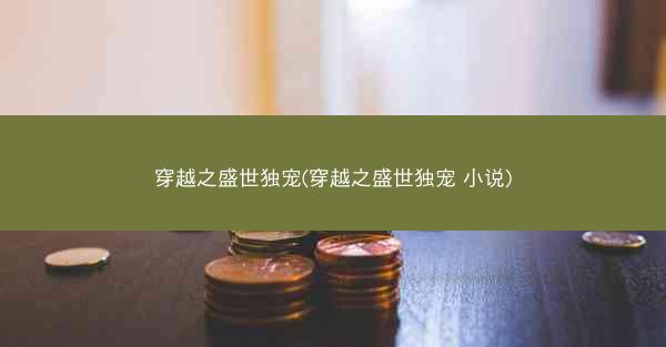 穿越之盛世独宠(穿越之盛世独宠 小说)