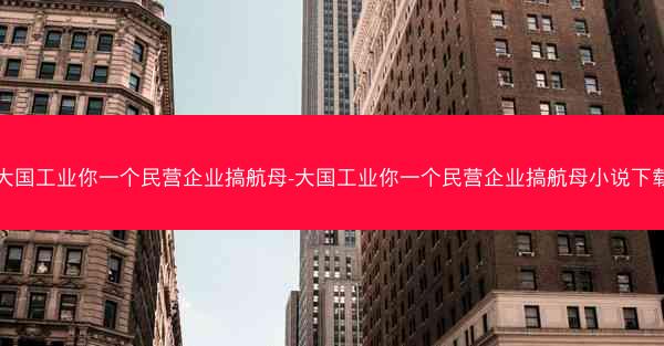大国工业你一个民营企业搞航母-大国工业你一个民营企业搞航母小说下载