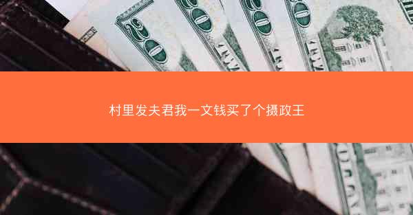 村里发夫君我一文钱买了个摄政王