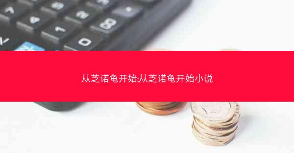 从芝诺龟开始;从芝诺龟开始小说