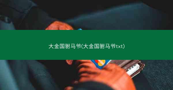 大金国驸马爷(大金国驸马爷txt)