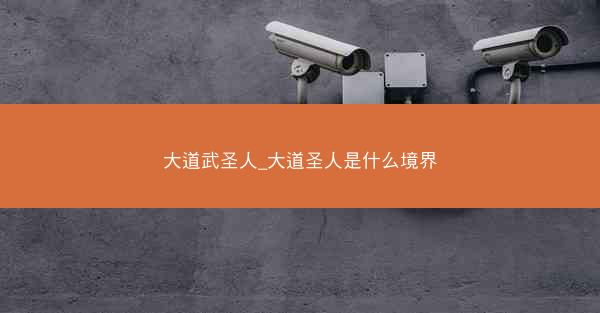 大道武圣人_大道圣人是什么境界