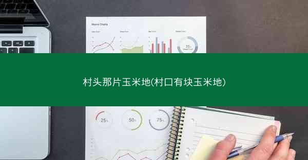 村头那片玉米地(村口有块玉米地) 村头那片玉米地(村口有块玉米地)