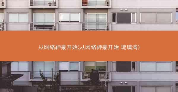 从网络神豪开始(从网络神豪开始 琉璃湾)