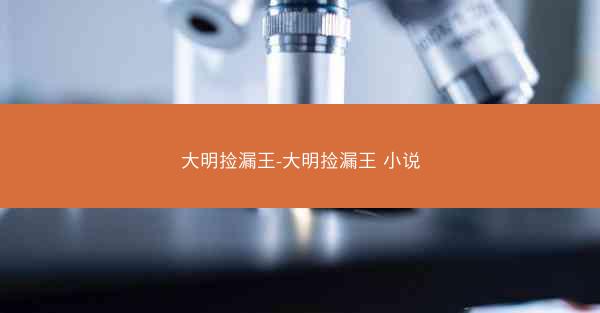 大明捡漏王-大明捡漏王 小说