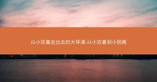 从小欢喜走出去的大导演-从小欢喜到小别离