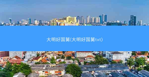 大明好国舅(大明好国舅txt)