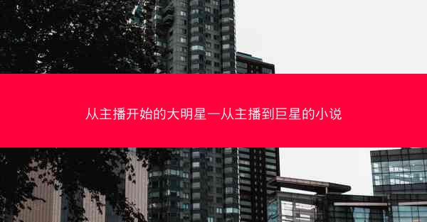 从主播开始的大明星—从主播到巨星的小说