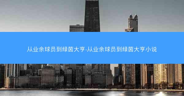 从业余球员到绿茵大亨-从业余球员到绿茵大亨小说
