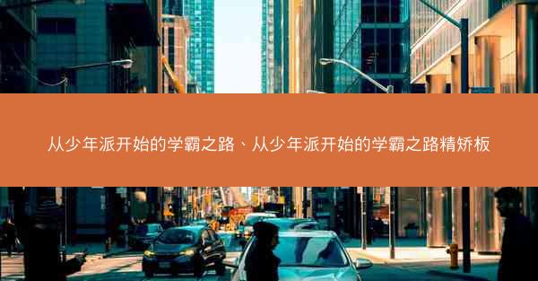 从少年派开始的学霸之路、从少年派开始的学霸之路精矫板