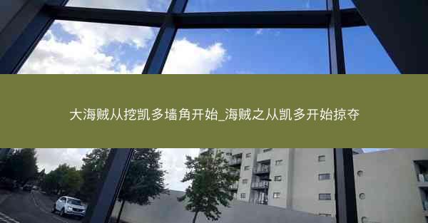 大海贼从挖凯多墙角开始_海贼之从凯多开始掠夺