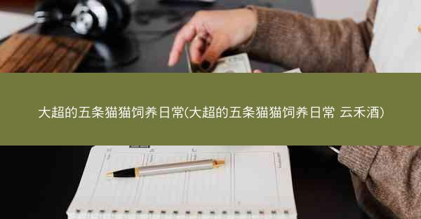 大超的五条猫猫饲养日常(大超的五条猫猫饲养日常 云禾酒)