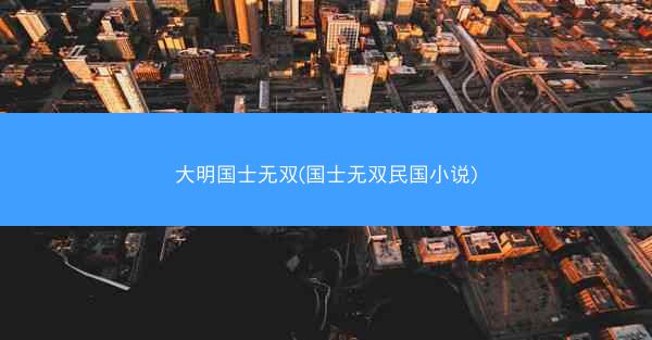 大明国士无双(国士无双民国小说)