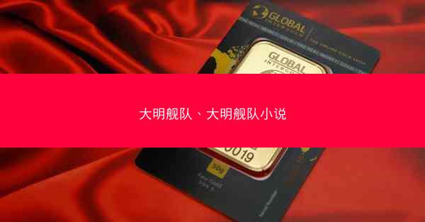 大明舰队、大明舰队小说