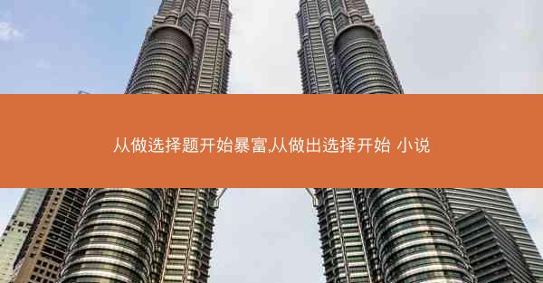 从做选择题开始暴富,从做出选择开始 小说
