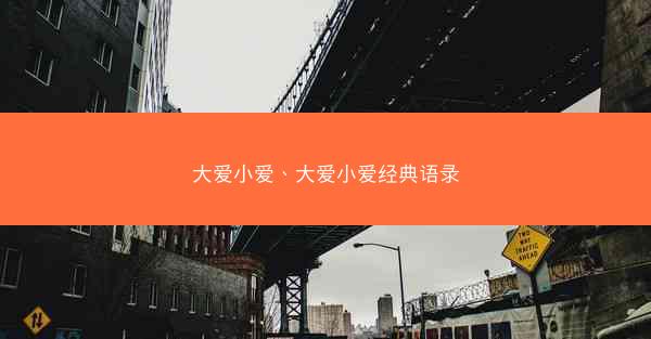 大爱小爱、大爱小爱经典语录