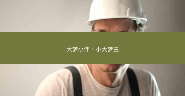 大梦小伴、小大梦主
