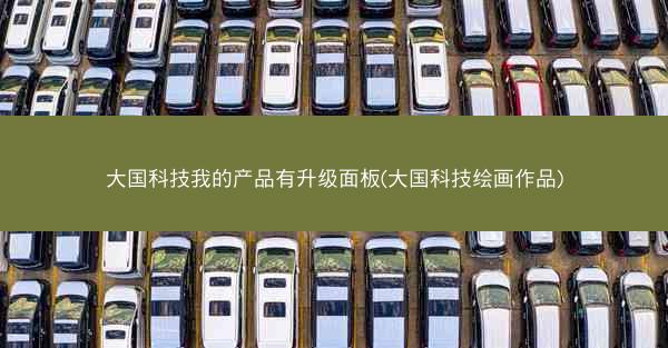 大国科技我的产品有升级面板(大国科技绘画作品)