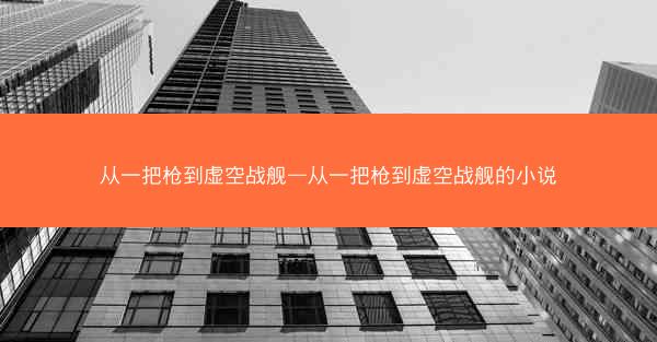 从一把枪到虚空战舰—从一把枪到虚空战舰的小说