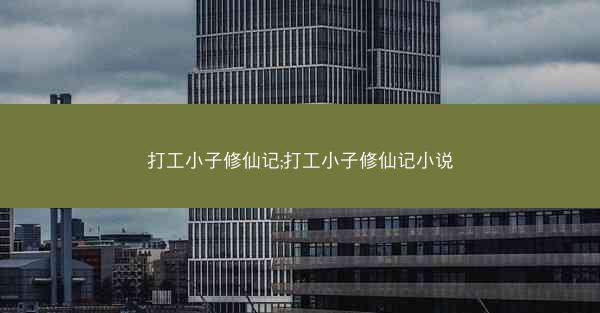打工小子修仙记;打工小子修仙记小说