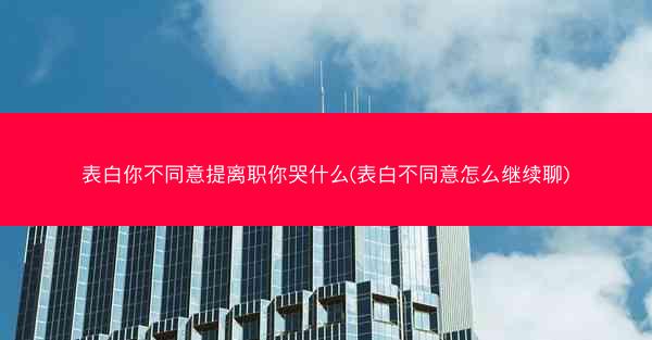 表白你不同意提离职你哭什么(表白不同意怎么继续聊)