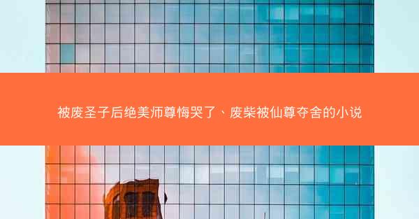 被废圣子后绝美师尊悔哭了、废柴被仙尊夺舍的小说 被废圣子后绝美师尊悔哭了、废柴被仙尊夺舍的小说