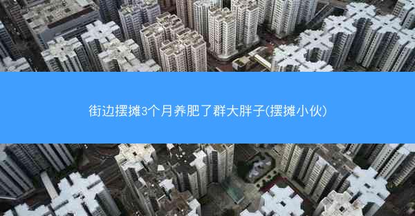 街边摆摊3个月养肥了群大胖子(摆摊小伙)
