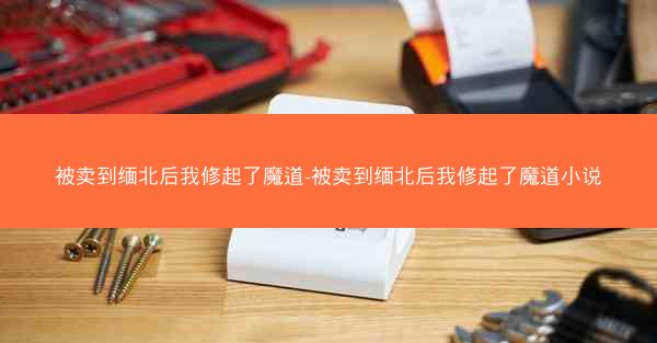 被卖到缅北后我修起了魔道-被卖到缅北后我修起了魔道小说