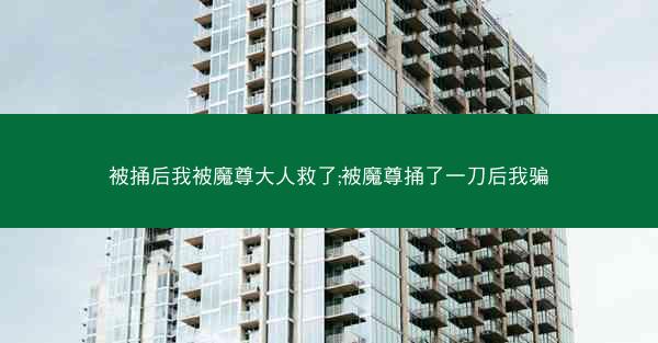 被捅后我被魔尊大人救了;被魔尊捅了一刀后我骗